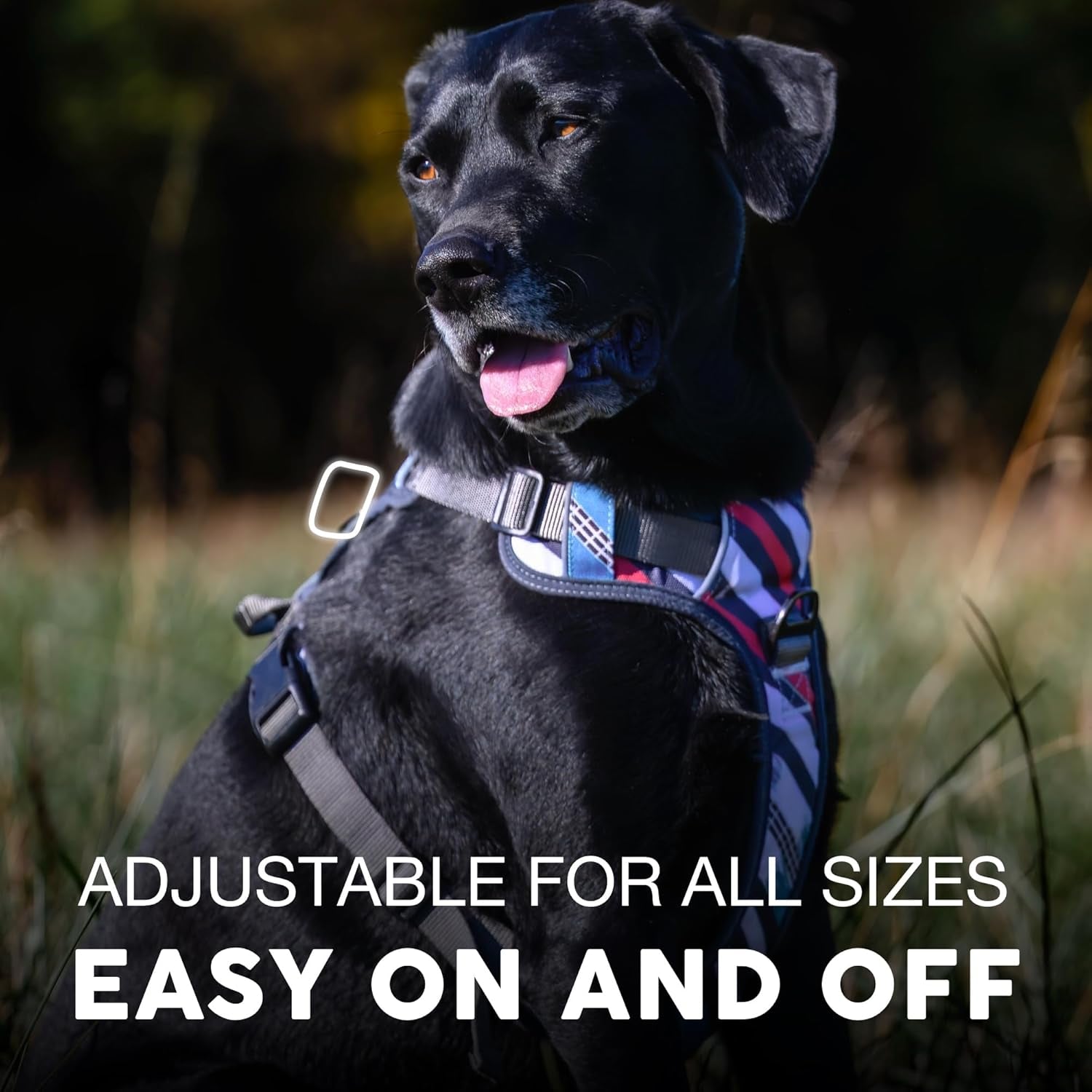 Embark Urban Dog Harness, No Pull Dog Harness with 2 Leash Clips, Dog Harness for Medium Dogs No Pull. Front & Back with Control Handle, Adjustable Black Dog Vest, Soft & Padded for Comfort