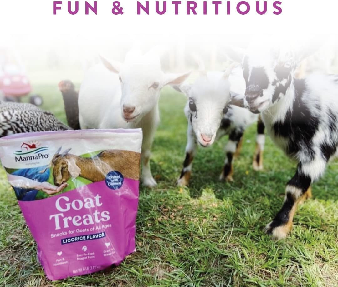 Goat Treats - Made with Oatmeal – Daily Goat Treats - Licorice Flavor – 6 Pounds of Goat Treats