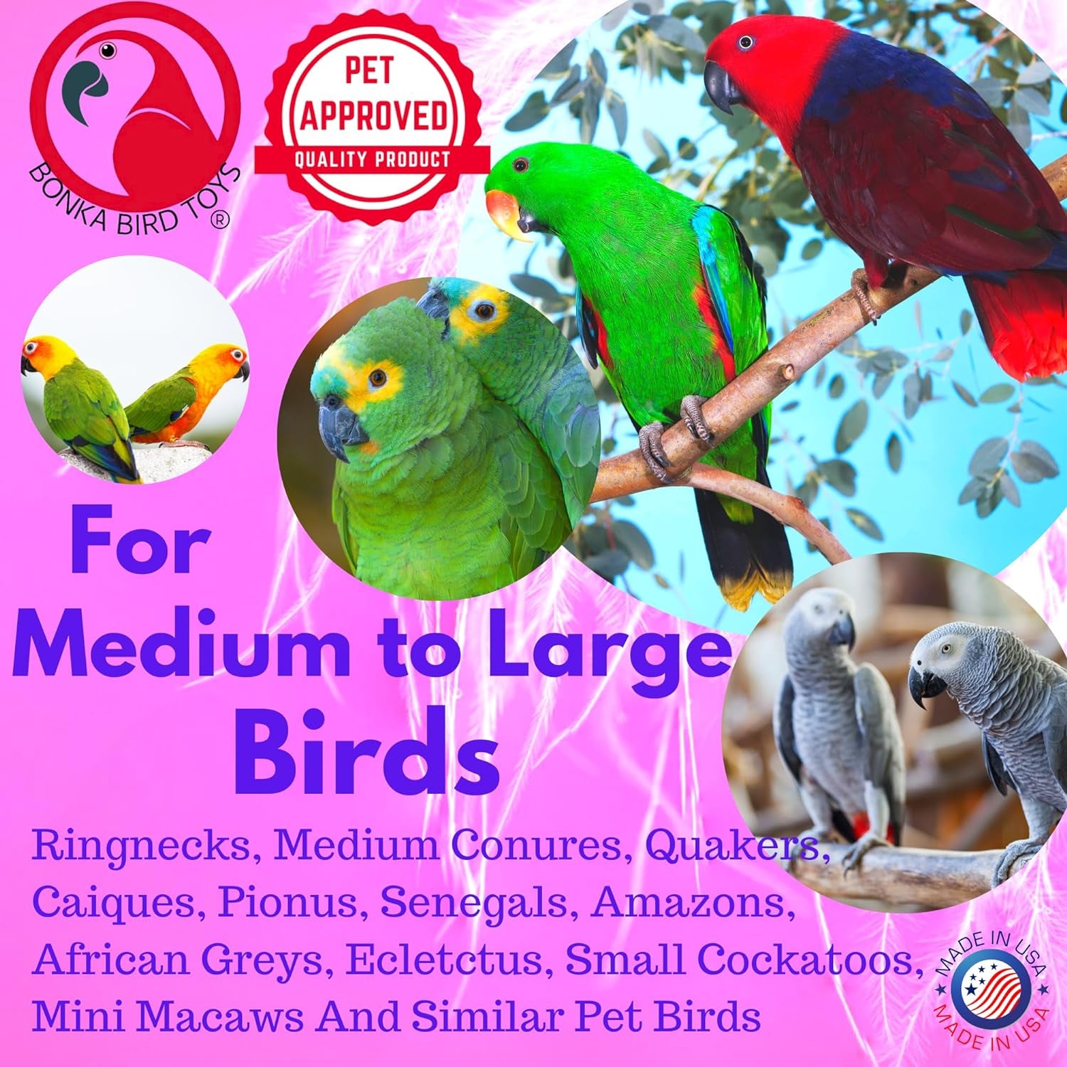 1730 Foraging Heart Medium Parrot 9" High X 6" Wide Conure Quaker African Grey and Similar